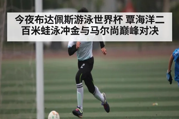 今夜布达佩斯游泳世界杯 覃海洋二百米蛙泳冲金与马尔尚巅峰对决 | kaiyun